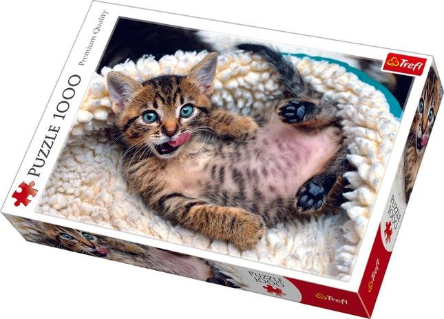 Kittens 1000-Piece Jigsaw Puzzle for Fun Family Activity
