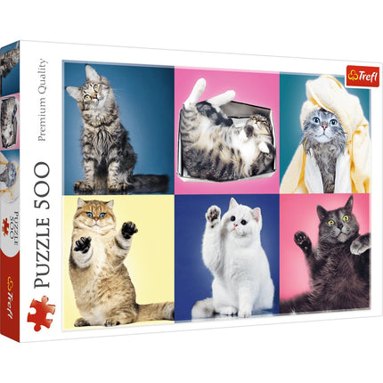 Kittens 500-Piece Jigsaw Puzzle for Kids and Adults