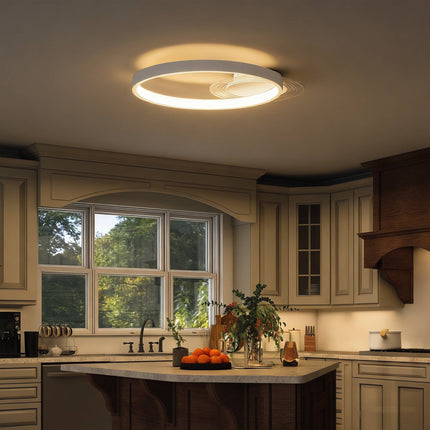 LED Ceiling Light, Adjustable Color Temp, 30W, White