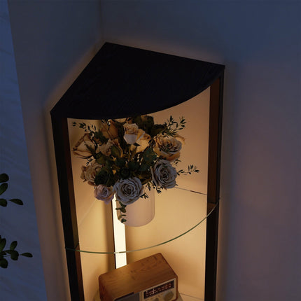 LED Floor Lamp with Shelves, Adjustable Brightness, Black