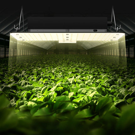 LED Grow Light 150W Full Spectrum Dimmable, Daisy Chain