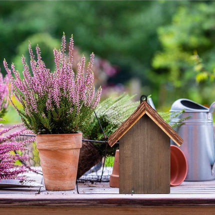 Ladybug house in brown wood