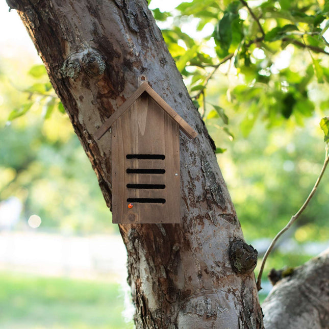 Ladybug house in brown wood