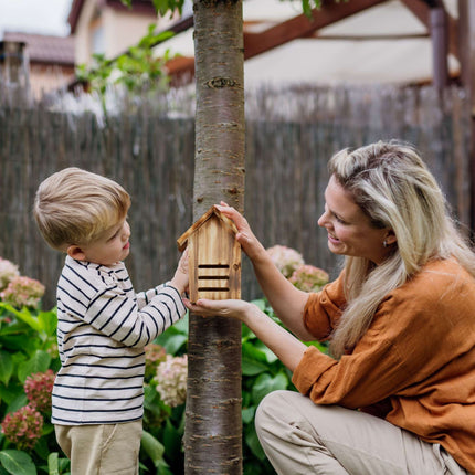 Ladybug house in flamed spruce