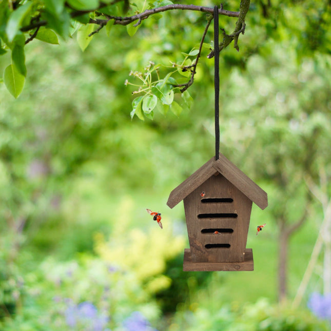 Ladybug house set of 2