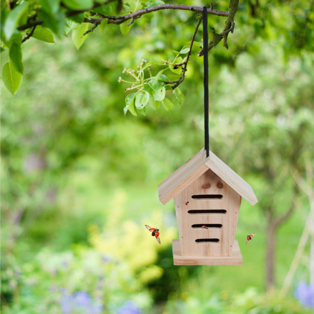 Ladybug house set of 2