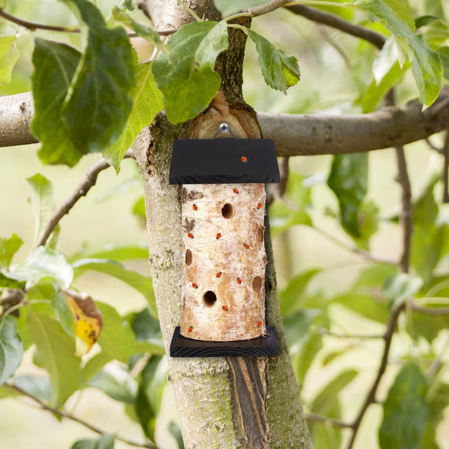 Ladybug house to hang