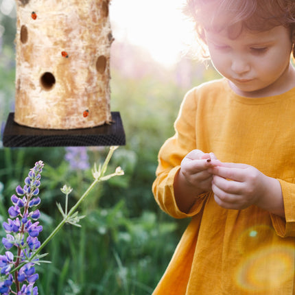 Ladybug house to hang