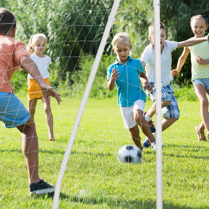 Large Football Goal with Target Wall for Practice