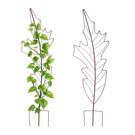 Leaf-Shaped Metal Trellis Set for Climbing Plants