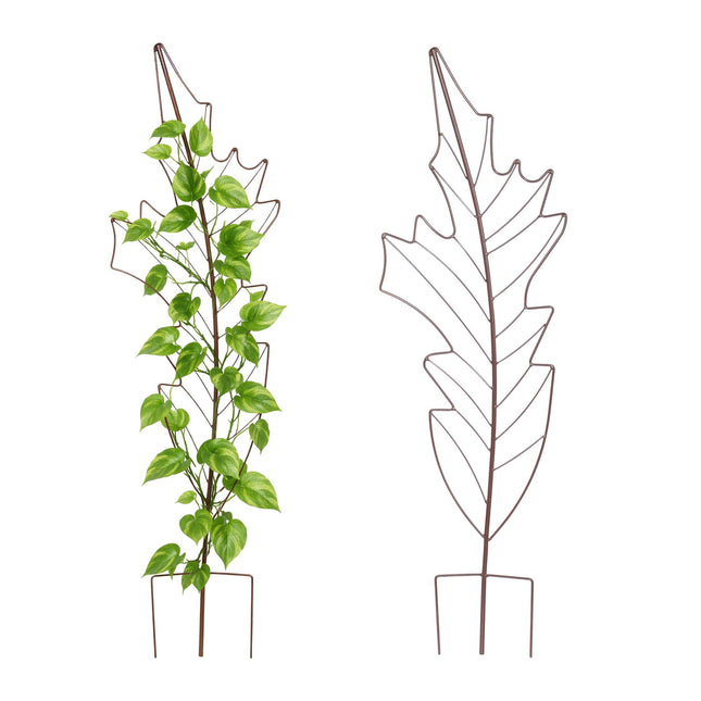 Leaf-Shaped Metal Trellis Set for Climbing Plants