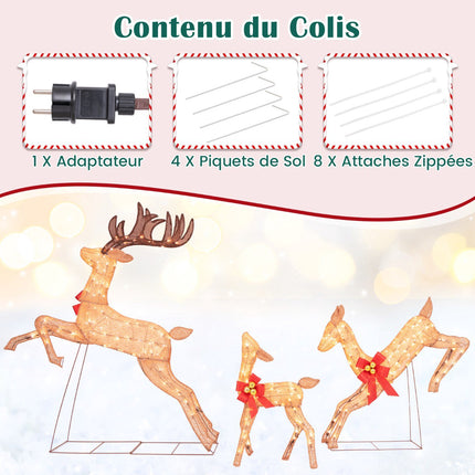 Lighted Christmas Reindeer Set, 3-Piece, 255 Warm Lights