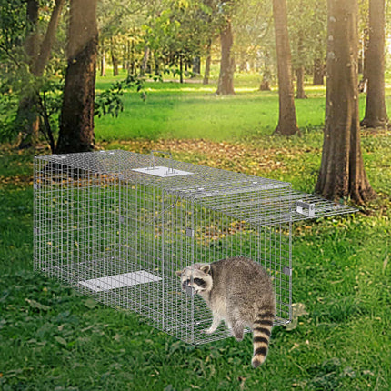 Live Animal Cage Trap, 50 x 20 x 26 in, Galvanized, With Handle