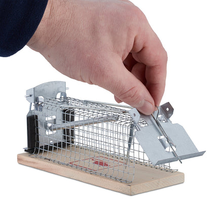 Live Mouse Trap Set – Humane Rodent Catch and Release