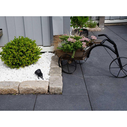 Luminus garden spot Black