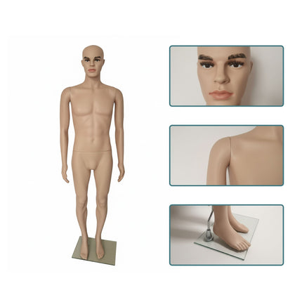 Male Mannequin with Stand – Movable Arms, Glass Base