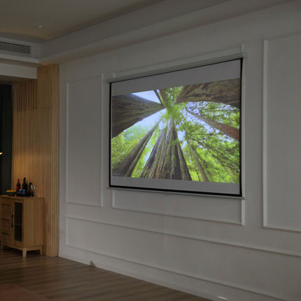 Manual Projector Screen, 100 Inch, 4:3/16:9, Home Theater