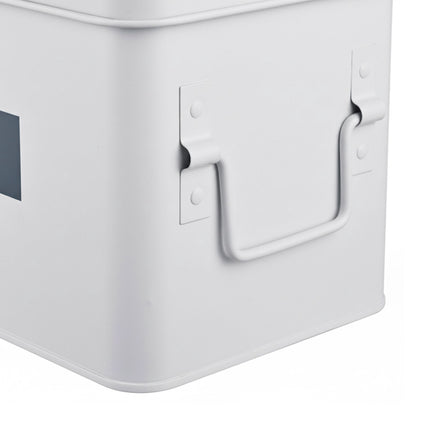 Medicine Storage Box with 4 Compartments