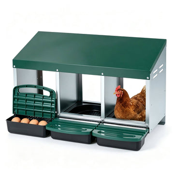 Metal Chicken Nesting Box with 3 Compartments and Egg Trays, Green, Roll Away