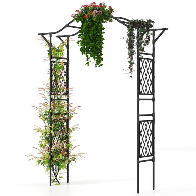 Metal Garden Arch for Climbing Plants, 170x39x210 cm, Black