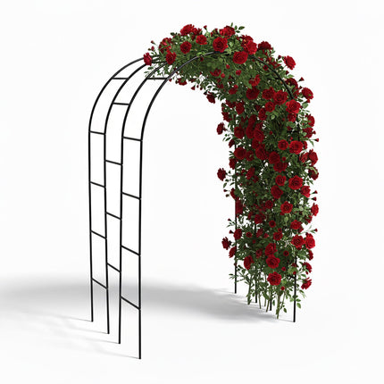 Metal Garden Arch for Climbing Plants, Triple-Arch Design