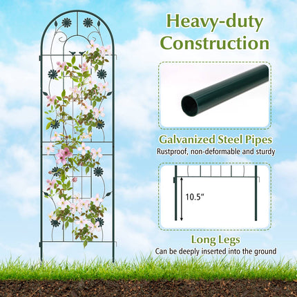 Metal Garden Trellis 2-Pack, 71 x 20 in, Rustproof