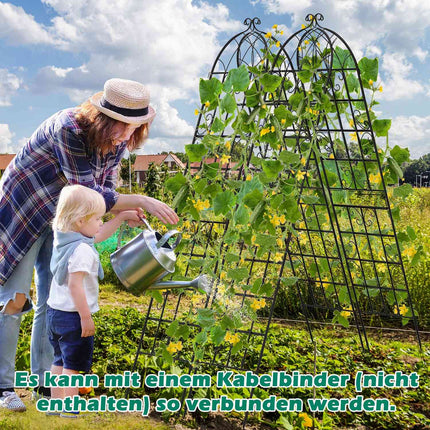 Metal Garden Trellis Set, 220x50 cm, Rustproof, Black