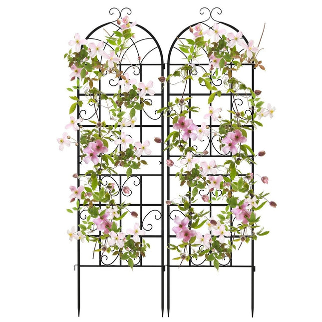 Metal Garden Trellis Set, 2-Pack, 180x50 cm, Black