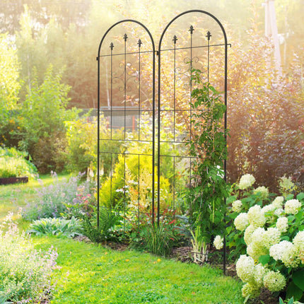 Metal Garden Trellis Set, Black, 50x180 cm, 2-Pack