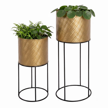 Metal Plant Stand Set of 2, Black-Gold, Galvanised Iron