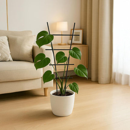 Metal Plant Trellis Set for Climbing Flowers