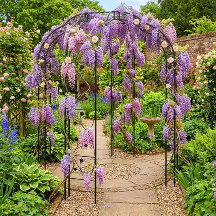 Metal Rose Arch, Black, Leaf And Flower Motif
