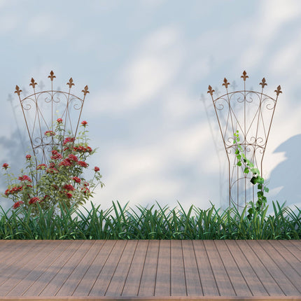 Metal Trellis Set – Fleur-de-Lis Design, Climbing Plant Support