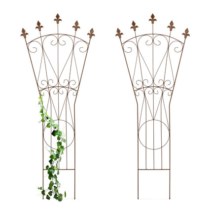 Metal Trellis Set – Fleur-de-Lis Design, Climbing Plant Support