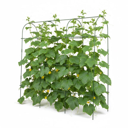 Metal Trellis for Climbing Plants – Large, Weather-Resistant