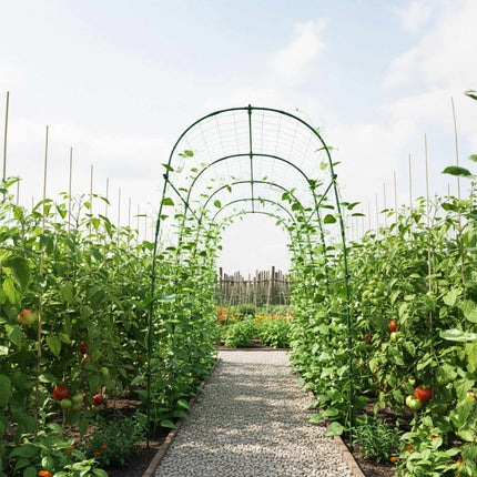 Metal Trellis for Climbing Plants – Large, Weather-Resistant