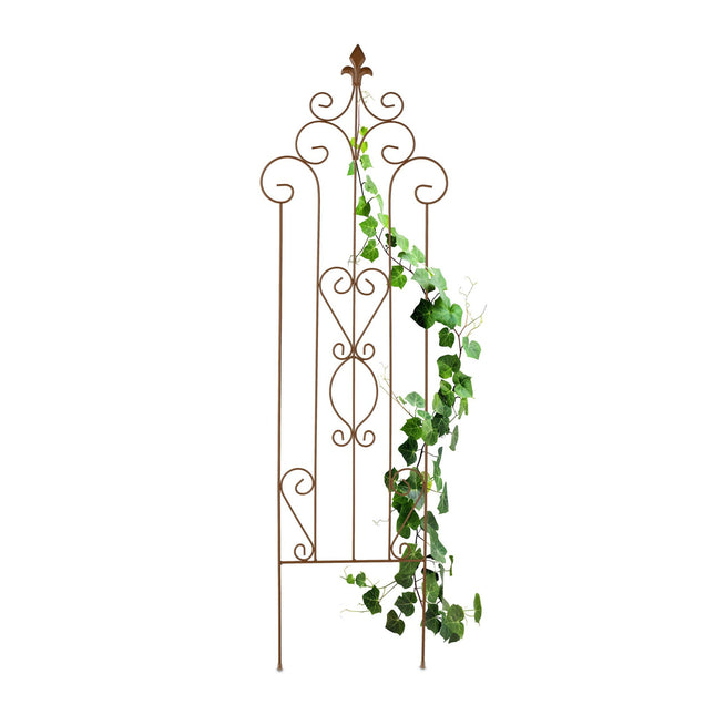 Metal Trellis for Climbing Plants, Vintage Design