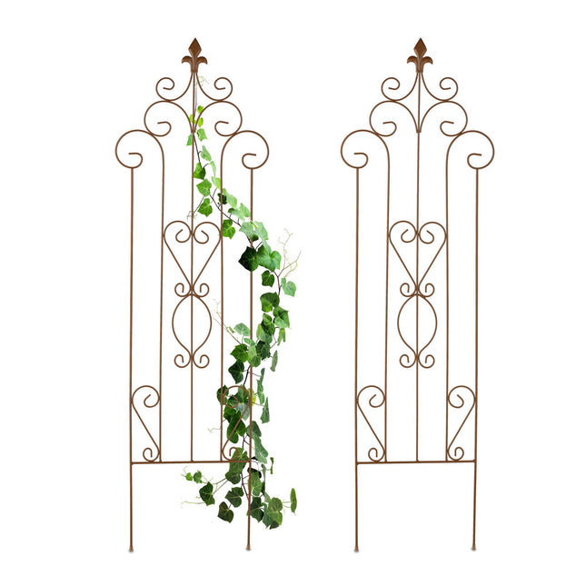 Metal Trellis for Climbing Plants, Vintage Design