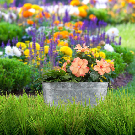 Metal flower box