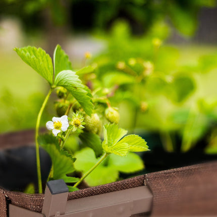 Metal planter with pre-formed liner