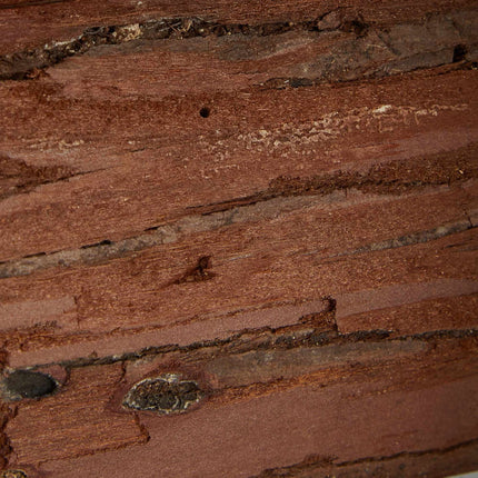Miniholk wood