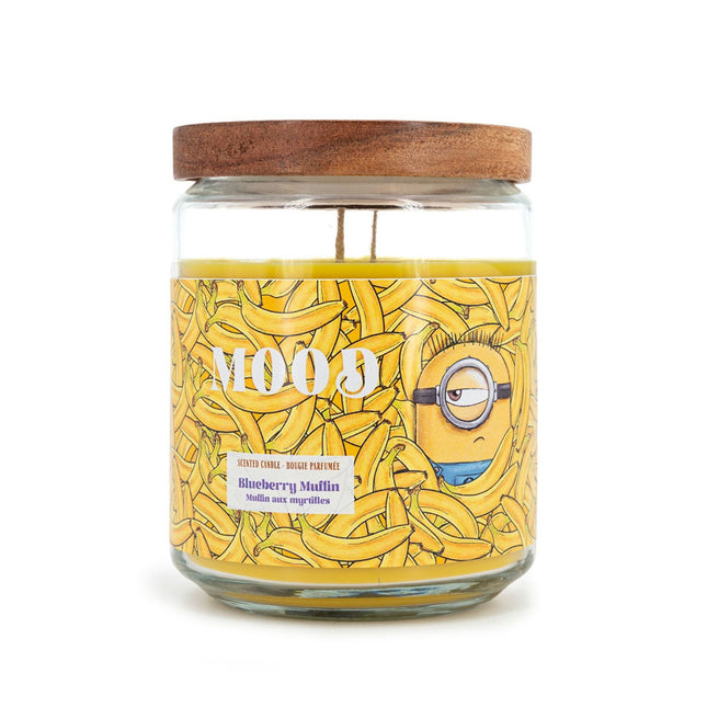 Minions Scented Candle, Fruity Aroma, 510g