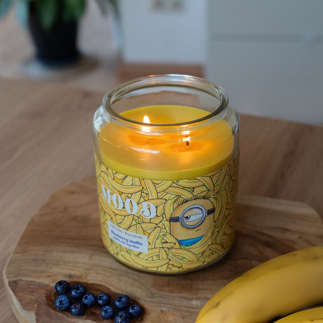 Minions Scented Candle, Fruity Aroma, 510g