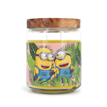 Minions Scented Candle, Fruity Aroma, 510g