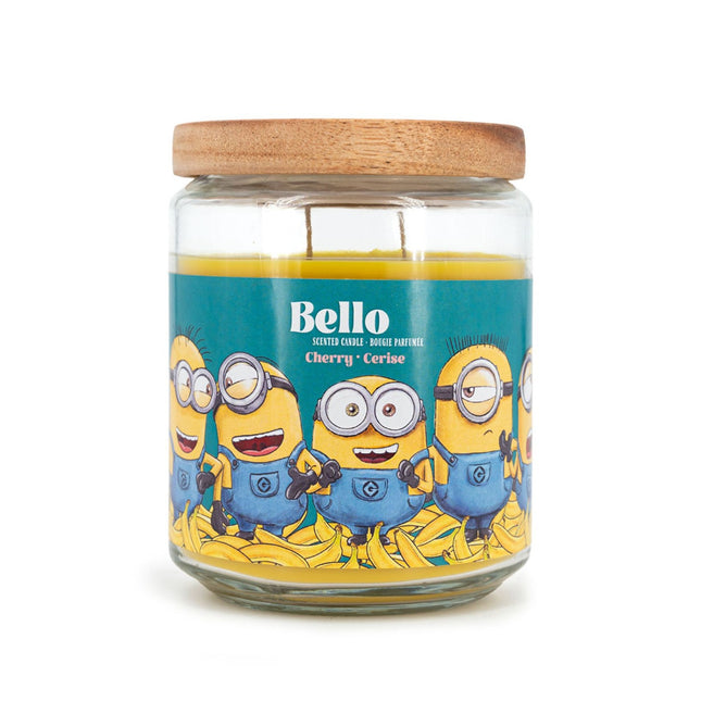 Minions Scented Candle, Fruity Aroma, 510g