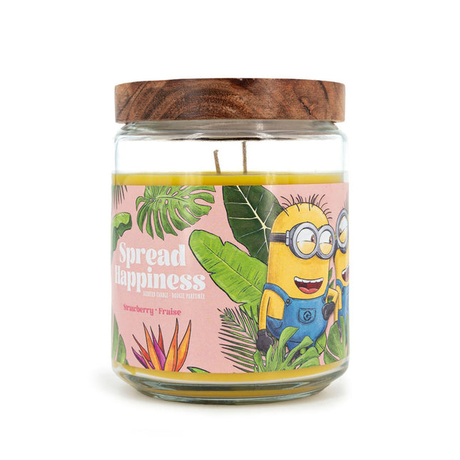 Minions Scented Candle, Fruity Aroma, 510g