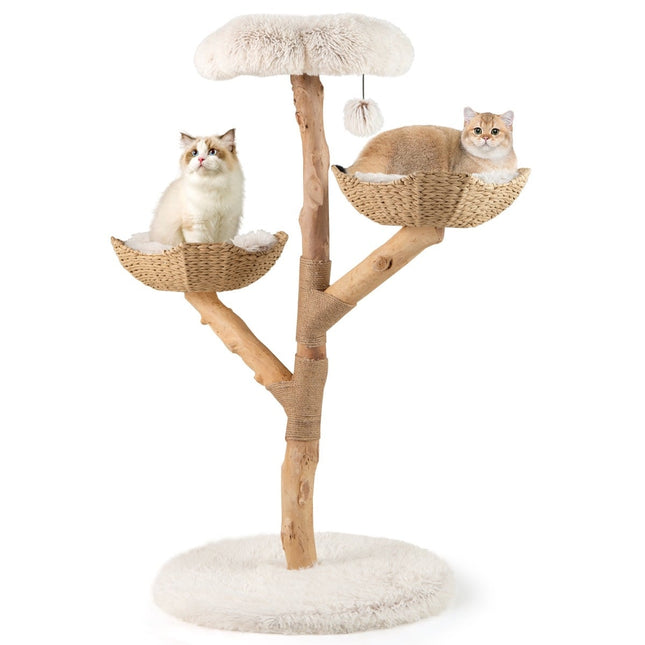 Modern Cat Tree with Real Wood Trunk & Flower Platform