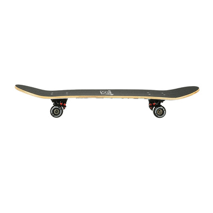 Mountain Skateboard, All-Terrain, Durable Deck