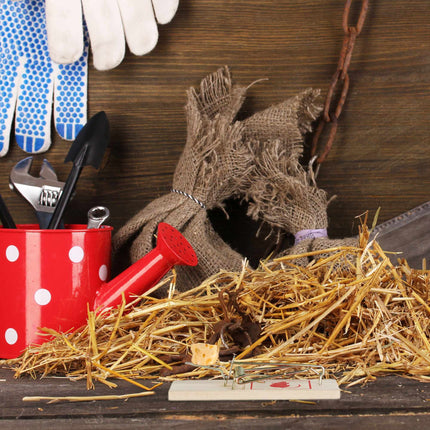 Mousetrap Wood Set of 40