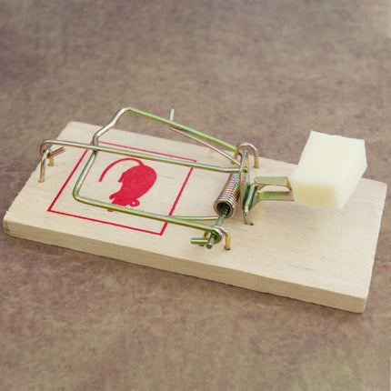 Mousetrap Wood Set of 40